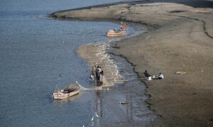 Shrinking Indus delta increases risk of floods, experts warn