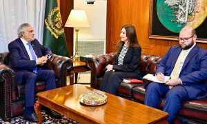 نائب وزیراعظم سے امریکی ناظم الامور کی ملاقات، باہمی دلچسپی کے امور پر تبادلہ خیال