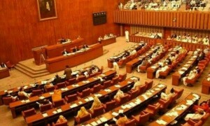 ترقیاتی منصوبوں پر سندھ کےساتھ &rsquo;امتیازی سلوک&lsquo;، سینیٹ کمیٹی میں وفاقی حکومت پر شدید تنقید