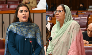 وفاقی بجٹ میں سندھ کو نظر انداز کرنے پر پیپلز پارٹی برہم