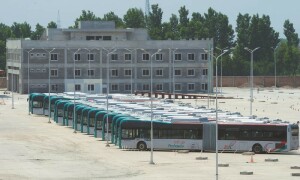 Peshawar BRT to get 50 more buses as cabinet gives go-ahead