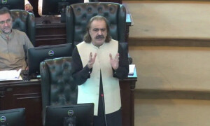 بجٹ عمران خان کے سامنے رکھنا چاہتے ہیں، ملاقات نہیں کرائی جارہی، علی امین گنڈاپور