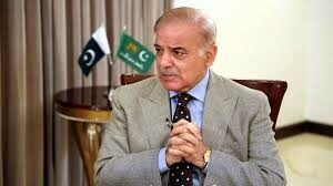 PM Shehbaz lauds delegation for exposing Indian aggression abroad