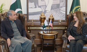امید ہے کہ امریکی صدر ڈونلڈ ٹرمپ غزہ میں بھی جنگ بندی کرائیں گے، وزیر داخلہ