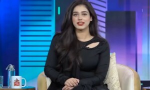 &rsquo;وہ جو پلز کھاتی ہو وہ کیا ہیں؟&lsquo; ٹک ٹاکر علینہ عامر کی ویڈیو وائرل