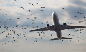 کراچی ایئرپورٹ پر یکے بعد دیگر دو طیارے بڑے حادثے سے بال بال بچ گئے