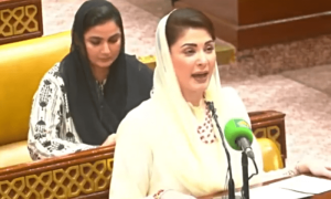 Maryam takes a dig at PTI leadership over &lsquo;minus-Nawaz&rsquo; statements
