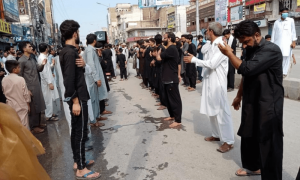 I-9 SDPO, two SHOs punished over security loopholes at Imambargahs