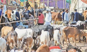 Inflation drains Eid spirit in twin cities