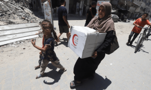 Over 170 NGOs call for end to deadly GHF aid distribution system in Gaza