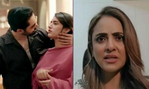 &rsquo;من مست ملنگ&lsquo; میں &rsquo;حاملہ&lsquo; لفظ کی تکرار پر نادیہ خان کا طنزیہ تبصرہ، ویڈیو وائرل
