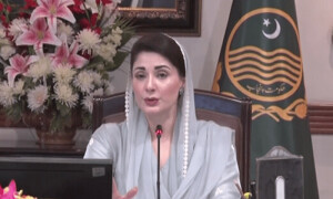مریم نواز کا ہسپتالوں میں ریڈ اور بلیو کوڈ ایمرجنسی سسٹم نافذ کرنے کاحکم