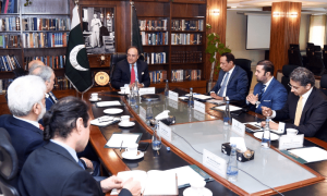 Aurangzeb reaffirms govt’s commitment to consultative policy framework