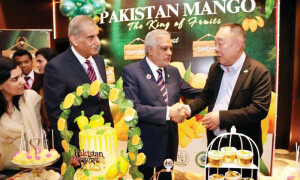 نائب وزیراعظم اسحٰق ڈار کا کوالالمپور میں پاکستان آم فیسٹیول کا افتتاح