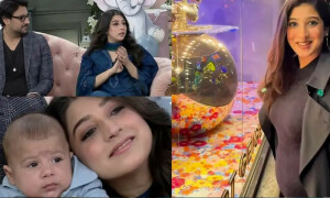 بچے کی پیدائش کے وقت 14 ڈاکٹرز دیکھ بھال کے لیے موجود تھے، مریم نفیس