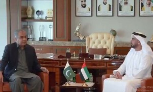 یو اے ای کی پاکستانی شہریوں کیلئے ویزوں کے اجرا کو آسان بنانے کیلئے مکمل تعاون کی یقین دہانی