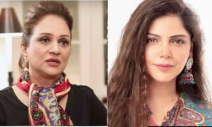 حمیرا اصغر کی رازداری کا احترام کریں، بشریٰ انصاری اور حدیقہ کیانی کی سوشل میڈیا صارفین سے اپیل