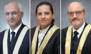 &lsquo;Aggrieved&rsquo; IHC judges skip IHCBA dinner