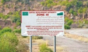 Three-day auction of plots fetches Rs19.5 billion