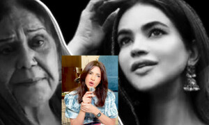 فنکاروں کی مدد اور معاونت کے لیے واٹس ایپ گروپ بنایا، ژالے سرحدی