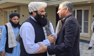 Interior Minister Naqvi discusses counterterrorism in Kabul meeting with Afghan counterpart