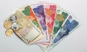 Finance: Between costs and credit
