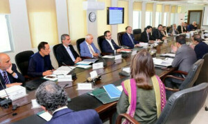 اقتصادی رابطہ کمیٹی نے ’گرین ٹیکسونومی‘ اقدام کی منظوری دے دی