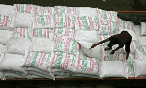 TCP doubles tender size amid sugar price surge