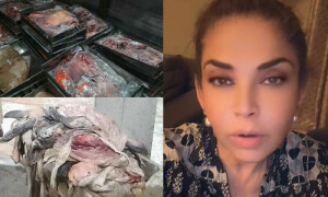 کس کس نے اسلام آباد میں گدھا پلاؤ اور کھوتہ بریانی کھائی ہوگی؟ مشی خان کا طنز