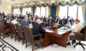 وفاقی کابینہ نےافغانستان کیلئے مخصوص زرعی مصنوعات پر ٹیکس رعایتوں کی منظوری دے دی