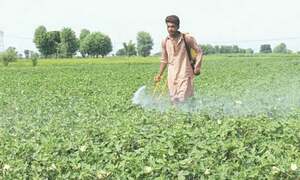 New authority established to oversee agri-trade infrastructure