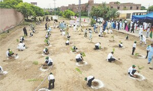 Monsoon plantation campaign begins in Charsadda, Bajaur, Mohmand