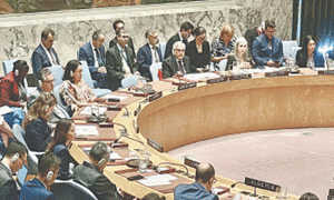 UN Security Council hails OIC role in resolving global conflicts