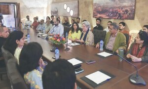 Salima Hashmi reflects on impact of culture on society