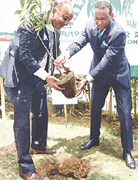 Pakistan joins Ethiopia’s global campaign to plant 700 million trees