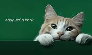 Don’t like ads? Cool, here’s a cat reel instead