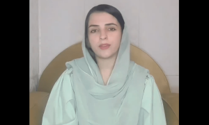 PTI-backed Mashal Yousafzai elected senator