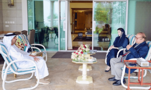 UAE envoy meets Nawaz, Maryam in Murree