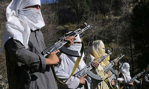 Tribal elders, TTP leaders agree to cease fire in Bajaur