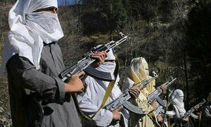 باجوڑ میں قیام امن کی کوششیں، قبائلی عمائدین اور ٹی ٹی پی کے درمیان عارضی جنگ بندی پر اتفاق