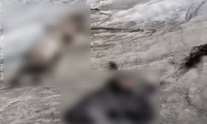 کوہستان میں 28 سال قبل لاپتا شخص کی لاش برفانی گلیشیئر سے مل گئی