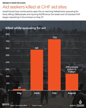 Israeli attack kills 15 aid seekers in northern Gaza