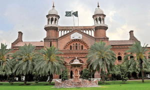 حکومت ترقیاتی منصوبے بنائے، مگر درختوں کی کٹائی نہیں ہونی چاہیے، لاہور ہائیکورٹ