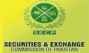 سیکیورٹیز اینڈ ایکسچینج کمیشن نے جولائی میں ریکارڈ 4 ہزار 65 کمپنیوں کی رجسٹریشن کرلی