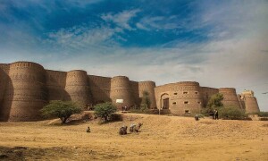 چولستان کے صحرا میں پودوں کے بیجوں کا فضائی چھڑکاؤ