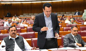 پی ٹی آئی دہشت گردوں کیساتھ ہے، نیشنل ایکشن پلان پر کارروائی کسی کا باپ نہیں روک سکتا، وزیر مملکت داخلہ