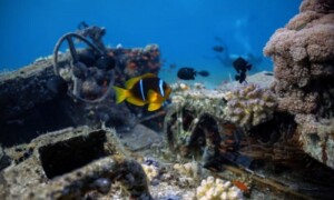Pakistan set to become first South Asian country to ratify Unesco underwater heritage convention