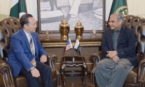 US-Pakistan counterterrorism talks will help formulate joint action plan: Naqvi