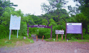 اسلام آباد: مزید بارشوں کی پیش گوئی، ہائیکنگ ٹریلز پر 19 اگست تک شہریوں کا داخلہ ممنوع