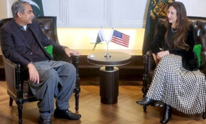 وفاقی وزیر داخلہ سے قائم مقام امریکی سفیر کی ملاقات، پاک-امریکا تعلقات پر تبادلہ خیال